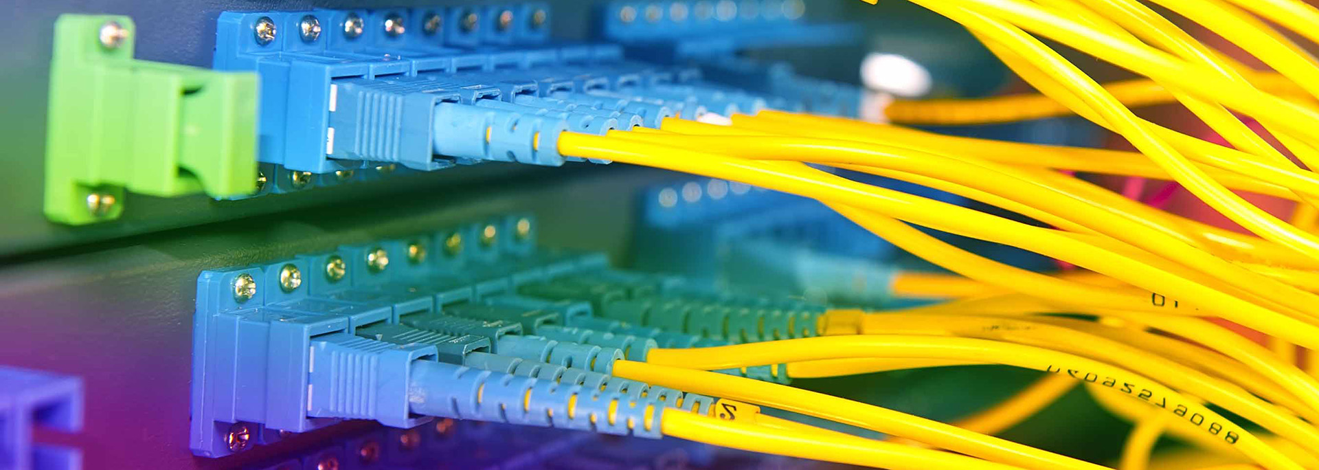 A series of colorful network cables extending from a router.